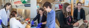 Prof. Wendy Crone working with students