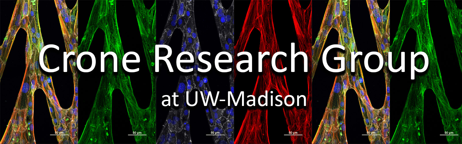 Crone Research Group at UW-Madison (banner)