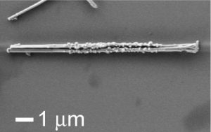 Ni end caps on nanowires