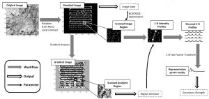 SGFT analysis
