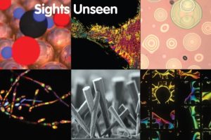 "Sights Unseen" art exhibit 