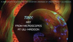 "TINY: Art from Microscopes at UW-Madison" exhibit