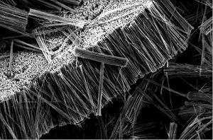 Nickel nanwires